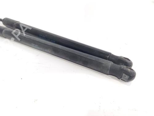 Tailgate lift support AUDI A1 (8X1, 8XK) 1.6 TDI | BP18024441C138 
