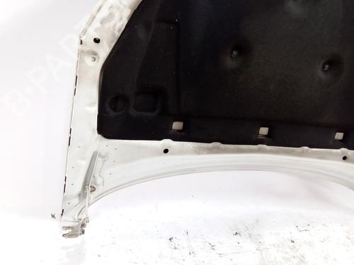 Hood OPEL INSIGNIA A Saloon (G09) 2.0 CDTI (69) | BP19324378C1