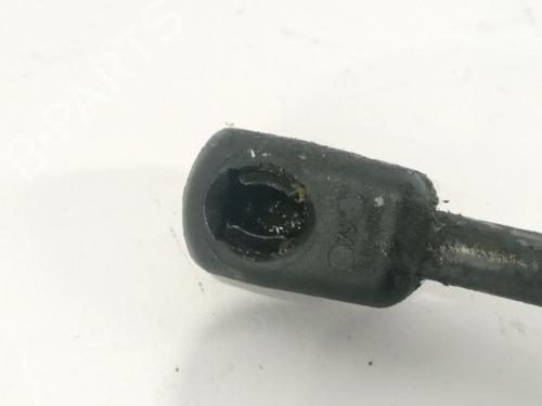 Hood lift support RENAULT MEGANE III Hatchback (BZ0/1_, B3_) 1.2 TCe (BZ2B, BZ11) | BP17819874C139 