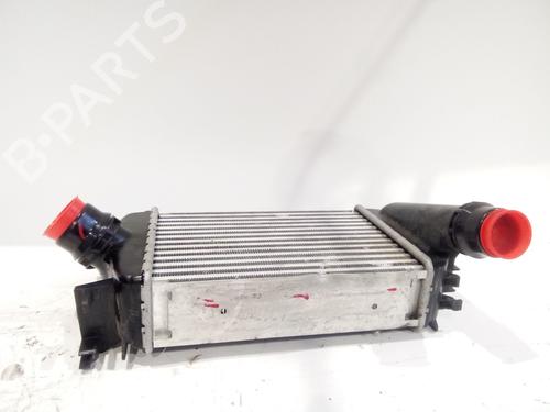 Intercooler NISSAN MICRA V (K14) 1.0 IG-T | BP21266225M30 