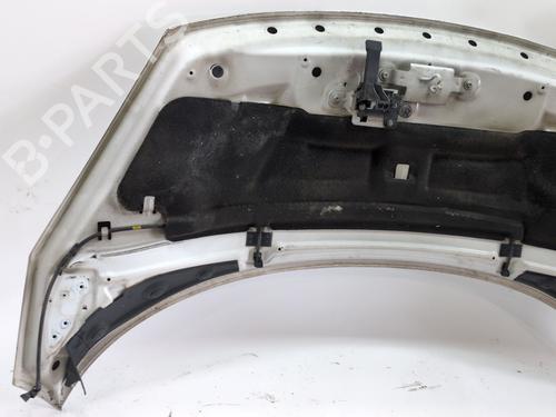 Hood RENAULT SCÉNIC III (JZ0/1_) 1.5 dCi | BP24916483C1