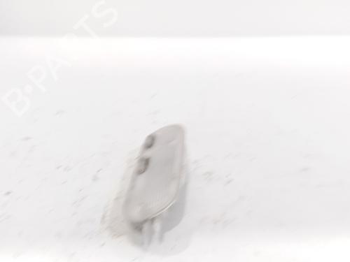 Interior roof light RENAULT KANGOO / GRAND KANGOO II (KW0/1_) 1.5 dCi 85 (KW0K, KW0L, KW0B) | BP17821385I8 