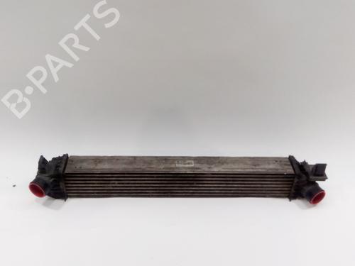 Used Intercooler CITROËN JUMPER II Van 2.0 BlueHDi 160 (163 hp) 21668203