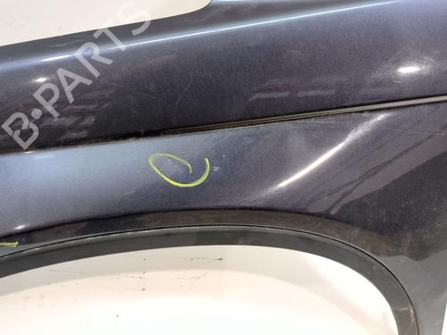 Left front fenders HONDA CR-V III (RE_) 2.2 i-DTEC 4WD (RE6) | BP30157822C41