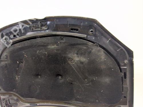 Hood VW GOLF PLUS V (5M1, 521) | BP29326722C1