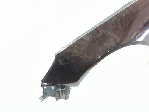 Left front fenders OPEL INSIGNIA A Saloon (G09) 2.0 CDTI (69) | BP30157629C41 