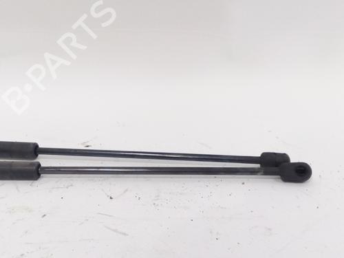 Hood lift support MINI MINI (R50, R53) One | BP19492181C139 