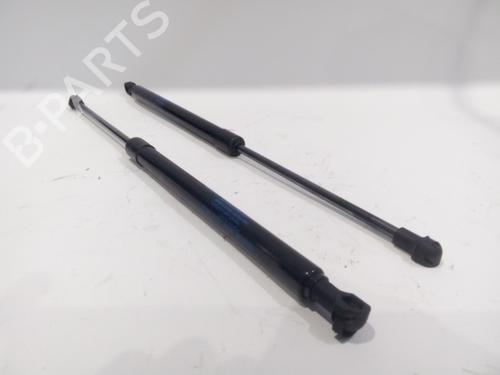 Tailgate lift support NISSAN MICRA V (K14) 1.0 IG-T | BP21131421C138 