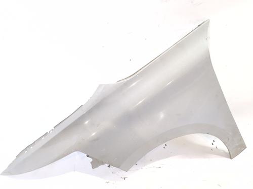 left-front-fenders-citroen-c4-picasso-ii-2013-38176505 main image