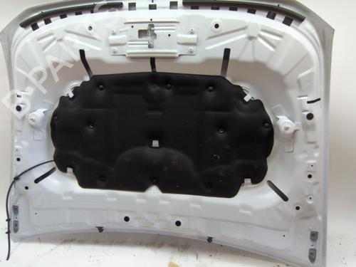 Hood DACIA DUSTER (PYM_, PYN_) 1.2 TCe 130 | BP28022980C1 