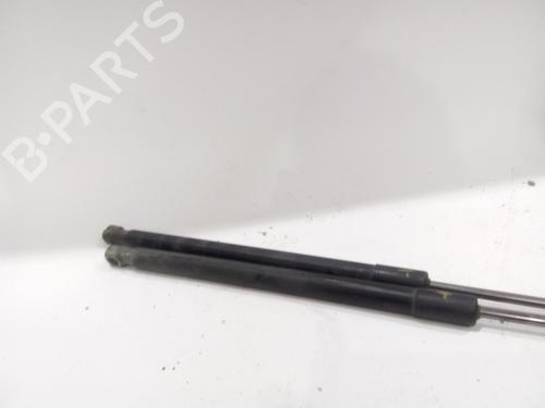 Tailgate lift support FORD FIESTA VI (CB1, CCN) 1.25 | BP21668254C138 