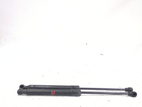 hood-lift-support-renault-kangoo-express-fw01_-2008-33820182 main image