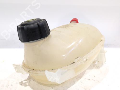 Serbatoio di espansione RENAULT ARKANA I (LCM_, LDN_) [2019-2025]  29734862