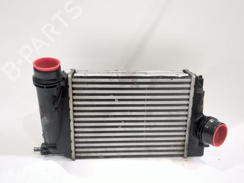 Intercooler RENAULT MEGANE IV Hatchback (B9A/M/N_) 1.5 dCi 110 (B9A3) (110 hp) 30158163