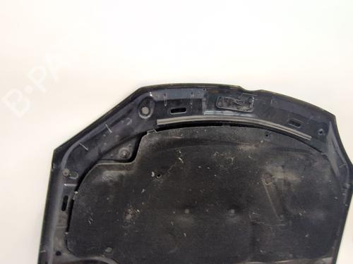 Hood VW GOLF PLUS V (5M1, 521) | BP29326722C1