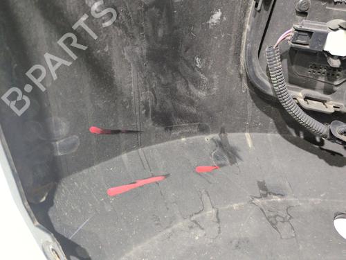 Front bumper RENAULT MASTER III Van (FV)  | BP30967261C7 