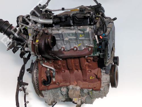 Used Engine Engine RENAULT EXPRESS Box Body/MPV [2021-2026] 34435001 34435001