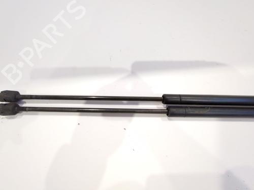 Hood lift support MINI MINI (R50, R53) One | BP28808600C139