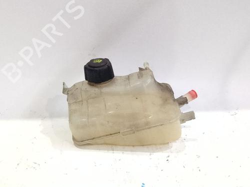 Ekspansjonstank RENAULT MEGANE III Coupe (DZ0/1_) 1.9 dCi (DZ0N, DZ0J, DZ1J, DZ1K) (131 hp) 25005781