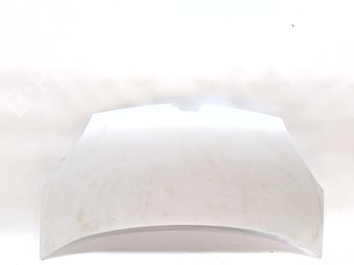 Used Hood Hood RENAULT KANGOO Express (FW0/1_) 1.5 dCi 90 (FW0G, FW05, FW08, FW11) (90 hp) 32166691 32166691