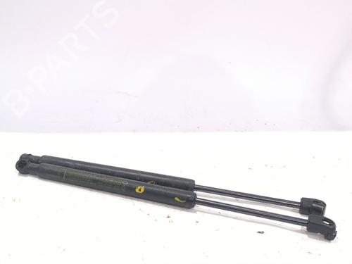 hood-lift-support-renault-koleos-ii-hc_-2016-33320123 main image