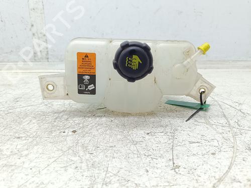 expansion-tank-nissan-qashqai-ii-j11-j11_-2013-31831006 main image