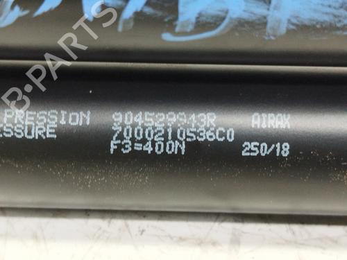 Tailgate lift support DACIA SANDERO II | BP30276135C138