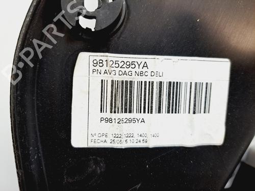 Front left panel CITROËN C4 SPACETOURER (3D_)  | BP18505038C58 