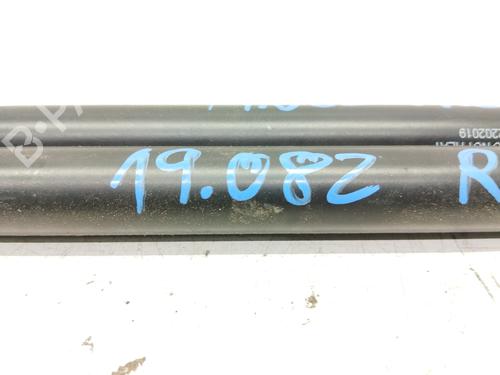 Tailgate lift support CITROËN XSARA (N1)  | BP22521938C138 