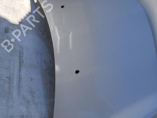 Hood RENAULT CLIO III (BR0/1, CR0/1) 1.5 dCi (BR0H, CR0H, CR1S, BR1S) | BP21665958C1 