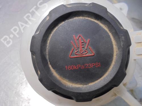 Expansion tank SKODA FABIA III (NJ3) 1.0 TSI | BP13426559C120 