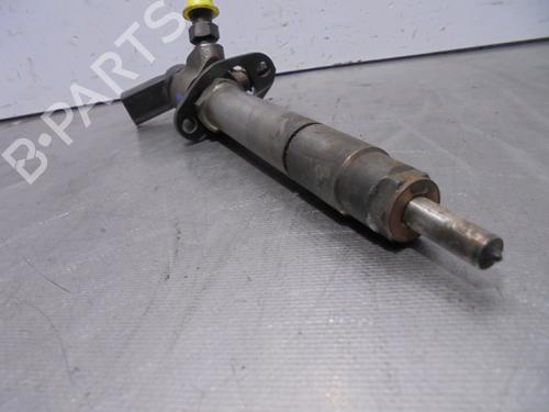 Injector LAND ROVER RANGE ROVER SPORT I (L320) 2.7 D 4x4 | BP13469747M100 