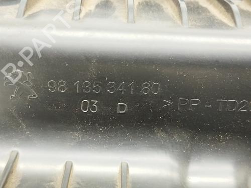 Air filter box PEUGEOT 208 I (CA_, CC_)  | BP16939510M87 