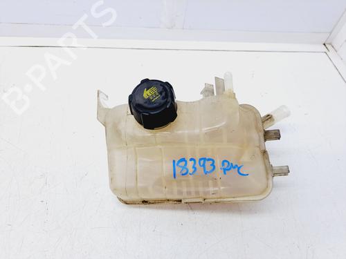 Expansion tank RENAULT FLUENCE (L3_) 1.5 dCi (L30B) (106 hp) 16858552