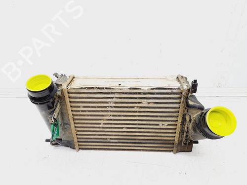 Used Intercooler RENAULT KADJAR (HA_, HL_) 1.6 dCi 130 (HLA4) (130 hp) 24038956