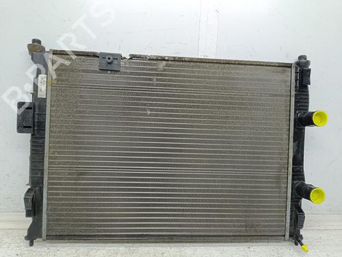 Used Water radiator Water radiator NISSAN QASHQAI I (J10, NJ10) [2006-2015] 32866990 32866990