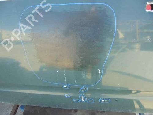 Left front door NISSAN PATHFINDER III (R51) 2.5 dCi | BP13457342C2 