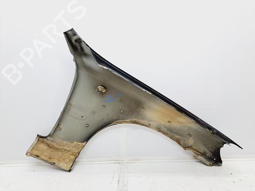 Left front fenders HYUNDAI TERRACAN (HP)  | BP17976125C41 
