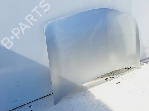 Hood RENAULT MEGANE II (BM0/1_, CM0/1_) 1.5 dCi (BM1F, CM1F) | BP13455229C1 
