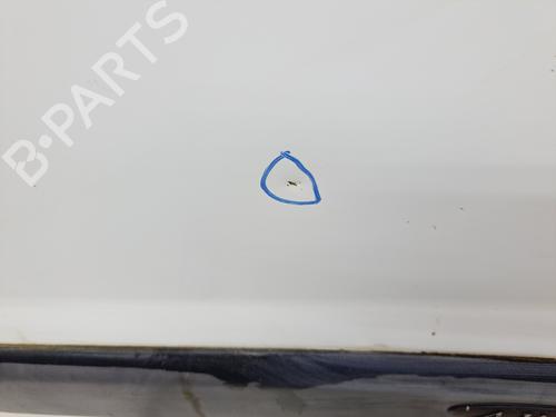 Right front door RENAULT KANGOO (KC0/1_)  | BP21189897C3 
