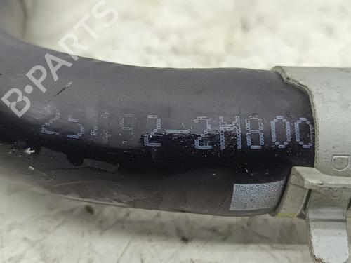 Other HYUNDAI TUCSON (NX4E, NX4A) | BP32317869O1 - Image 3