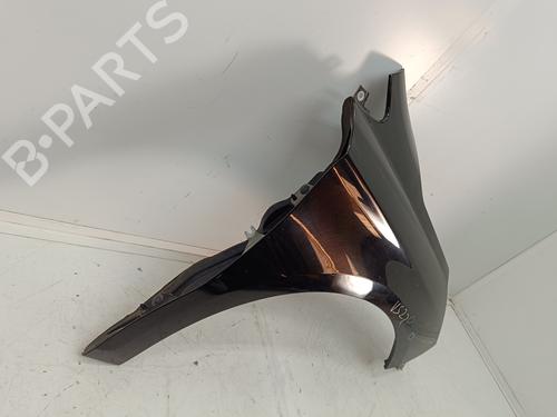 Right front fenders CITROËN C4 II (NC_) 1.6 BlueHDi 100 | BP22760524C42 
