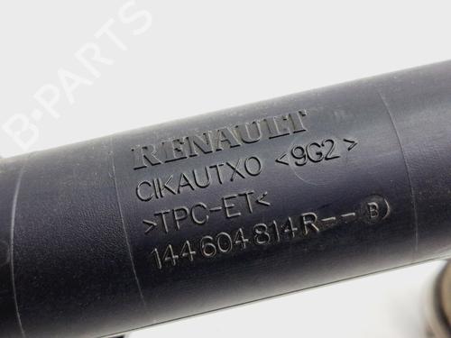 Other RENAULT GRAND SCÉNIC IV (R9_) 1.3 TCe 115 (R9N9) | BP26437721O1