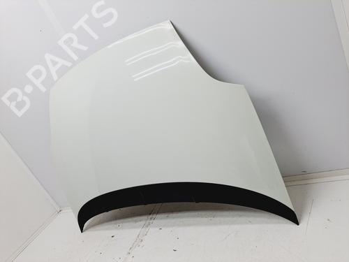 Hood FIAT PUNTO EVO (199_) 1.3 D Multijet (199AXC1A, 199BXC1A, 199AXT1A, 199BXT1A) | BP25918441C1 