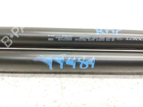 Tailgate lift support DACIA SANDERO II | BP30276135C138