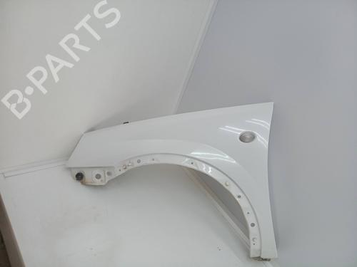 Left front fenders OPEL COMBO Box Body/MPV 1.3 CDTI 16V | BP15617822C41 