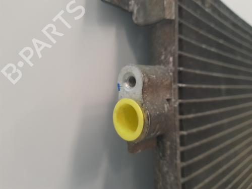 AC radiator RENAULT MEGANE II (BM0/1_, CM0/1_) 1.5 dCi (BM1E, CM1E) | BP13453109M32 