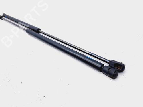 Tailgate lift support CITROËN XSARA Coupe (N0) 2.0 HDI 90 | BP14224436C138 