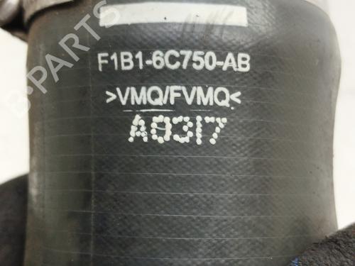 Other FORD TRANSIT CONNECT V408 Box Body/MPV  | BP30594549O1 