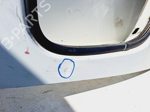 Right front door OPEL VIVARO A Van (X83)  | BP13472341C3 